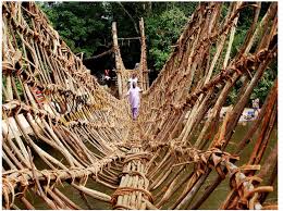 pont_liane